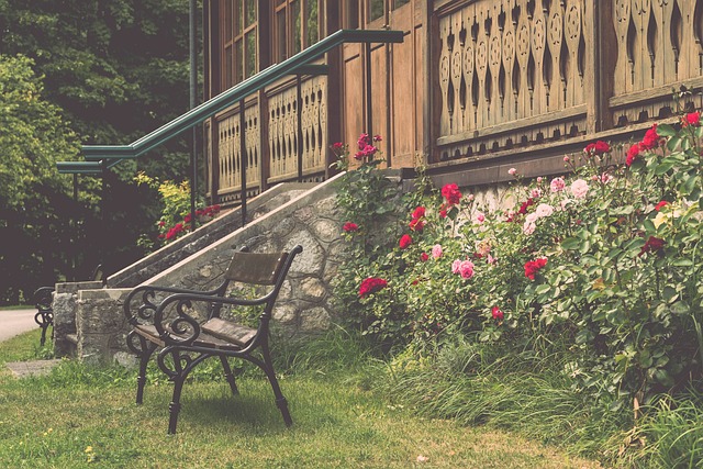 归功于她稳 归功于她稳