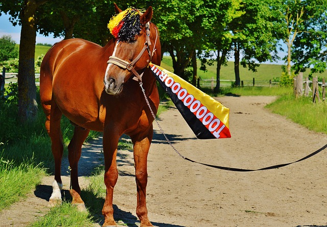 悍的比赛风 悍的比赛风
